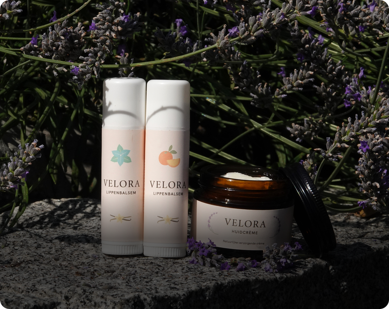 How Nature Inspires Every Velora Product